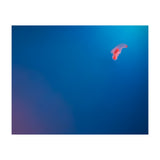 Absolute Zero (Print Only) thumbnail