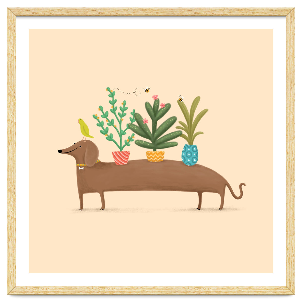 Dachshund And Parrot