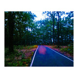 Into The Wild (Print Only) thumbnail