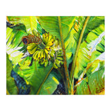 Tropical Fruit (Print Only) thumbnail