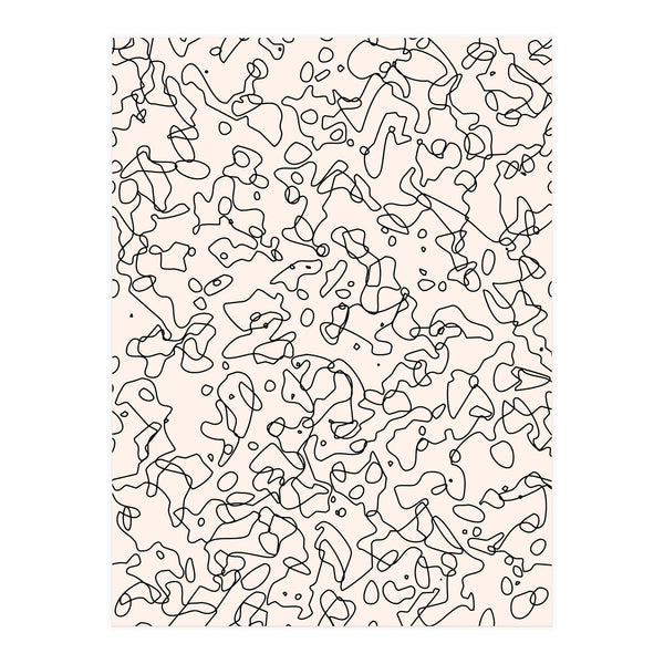 Randomness (Print Only)