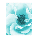 Blue Rose (Print Only) thumbnail
