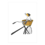 Dog In Basket (Print Only) thumbnail