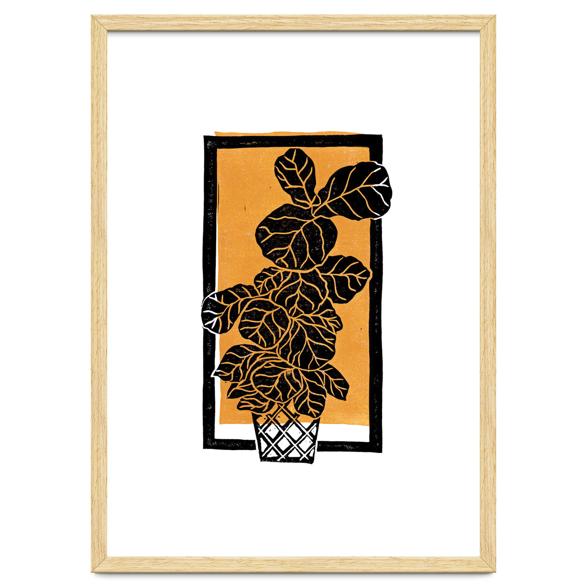 Fiddle Leaf Fig Clean + Sunlight