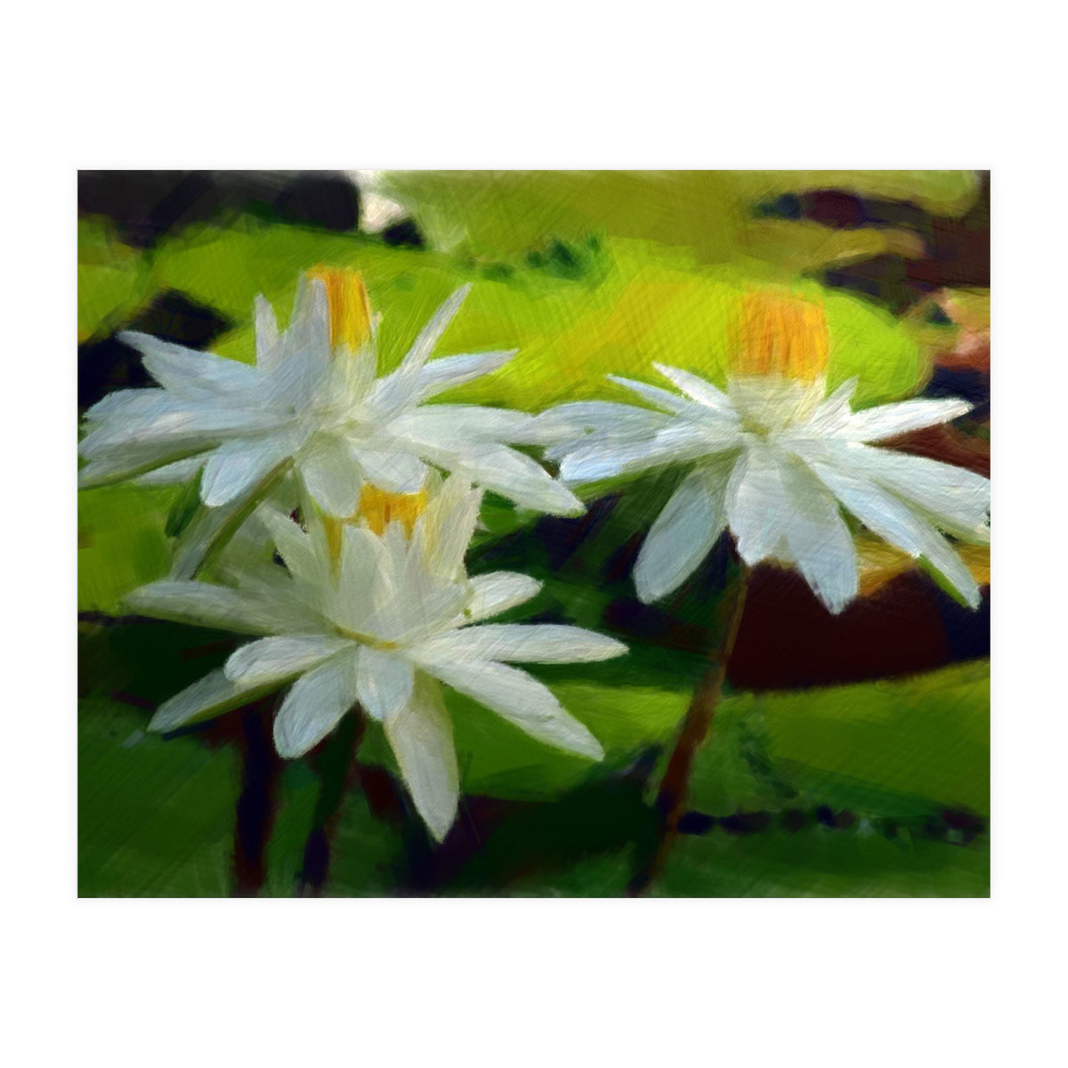 Water Lilies (Print Only)