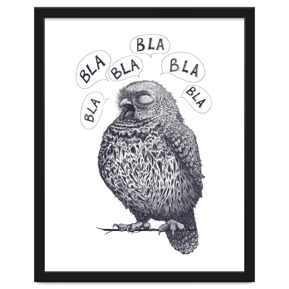 Owl Bla Bla Bla