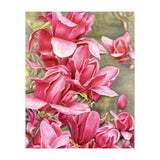 Magnolia 5 (Print Only) thumbnail