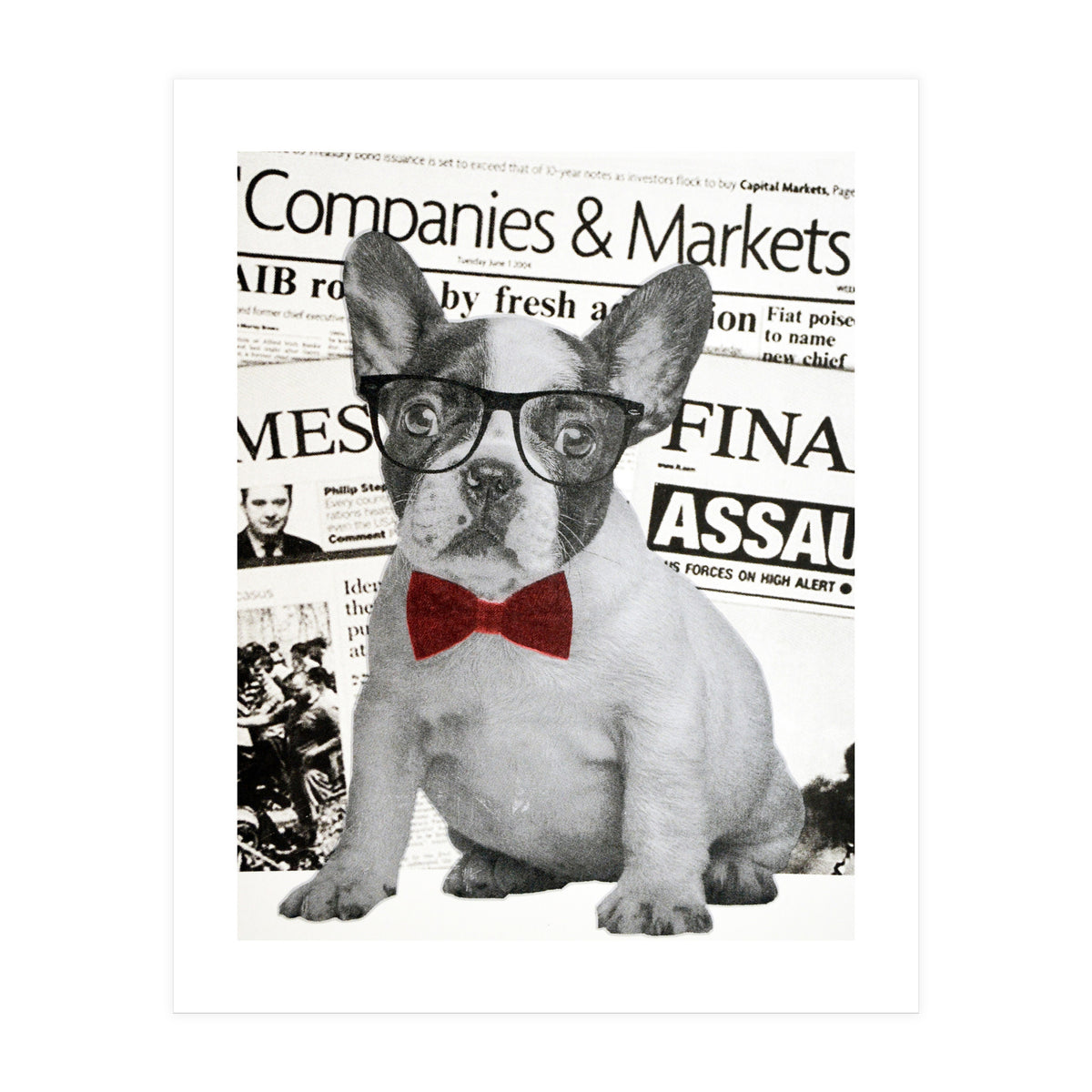 The Dog Of Wall Street (Print Only)