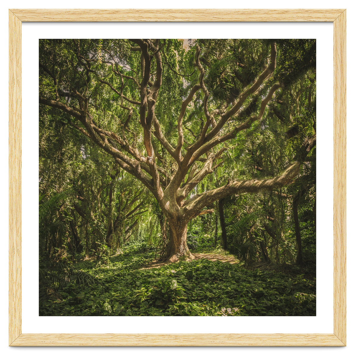 Spirits inside the wood