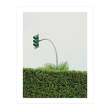 Urban Plant (Print Only) thumbnail