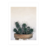 cactus nature XI (Print Only) thumbnail
