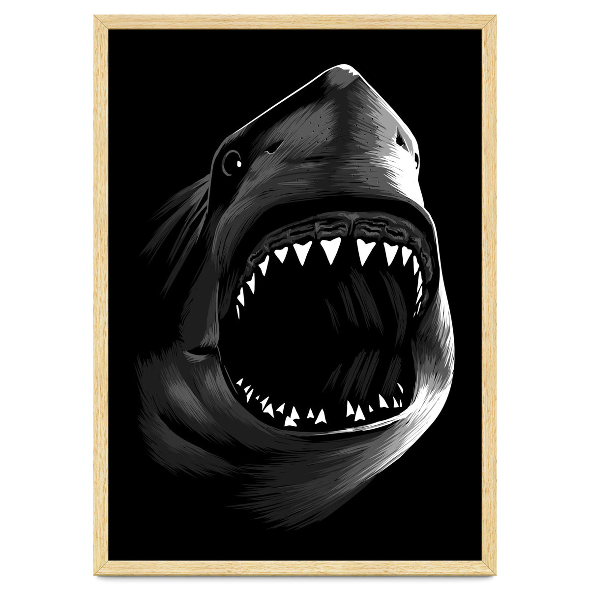 Megalodon