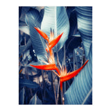 Parakeet Tropical Flower (Print Only) thumbnail