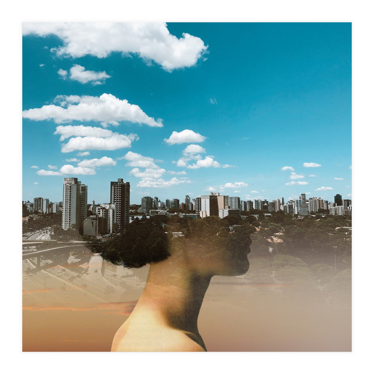 Dream Division 15 (Print Only)