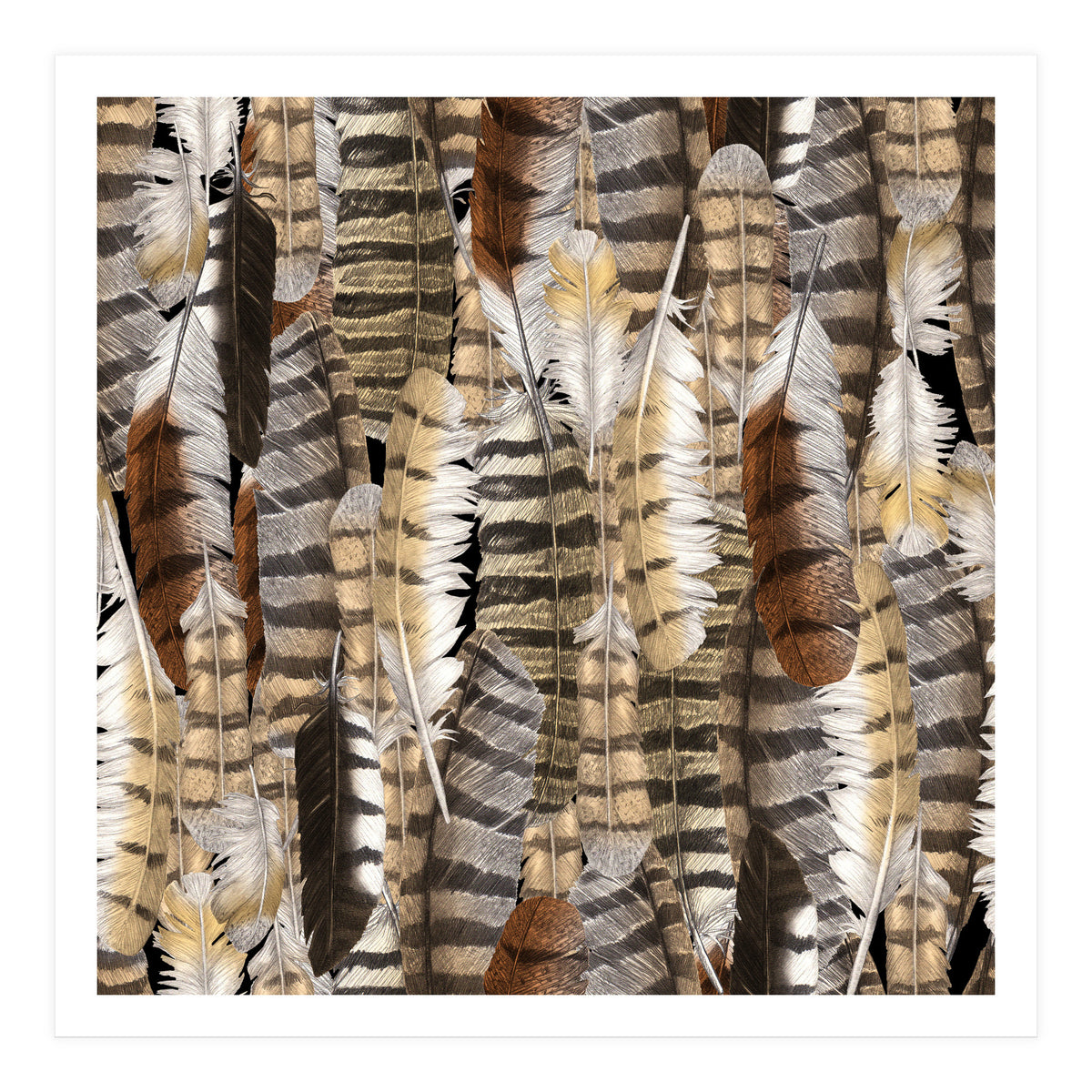 Owl Feathers (Print Only)