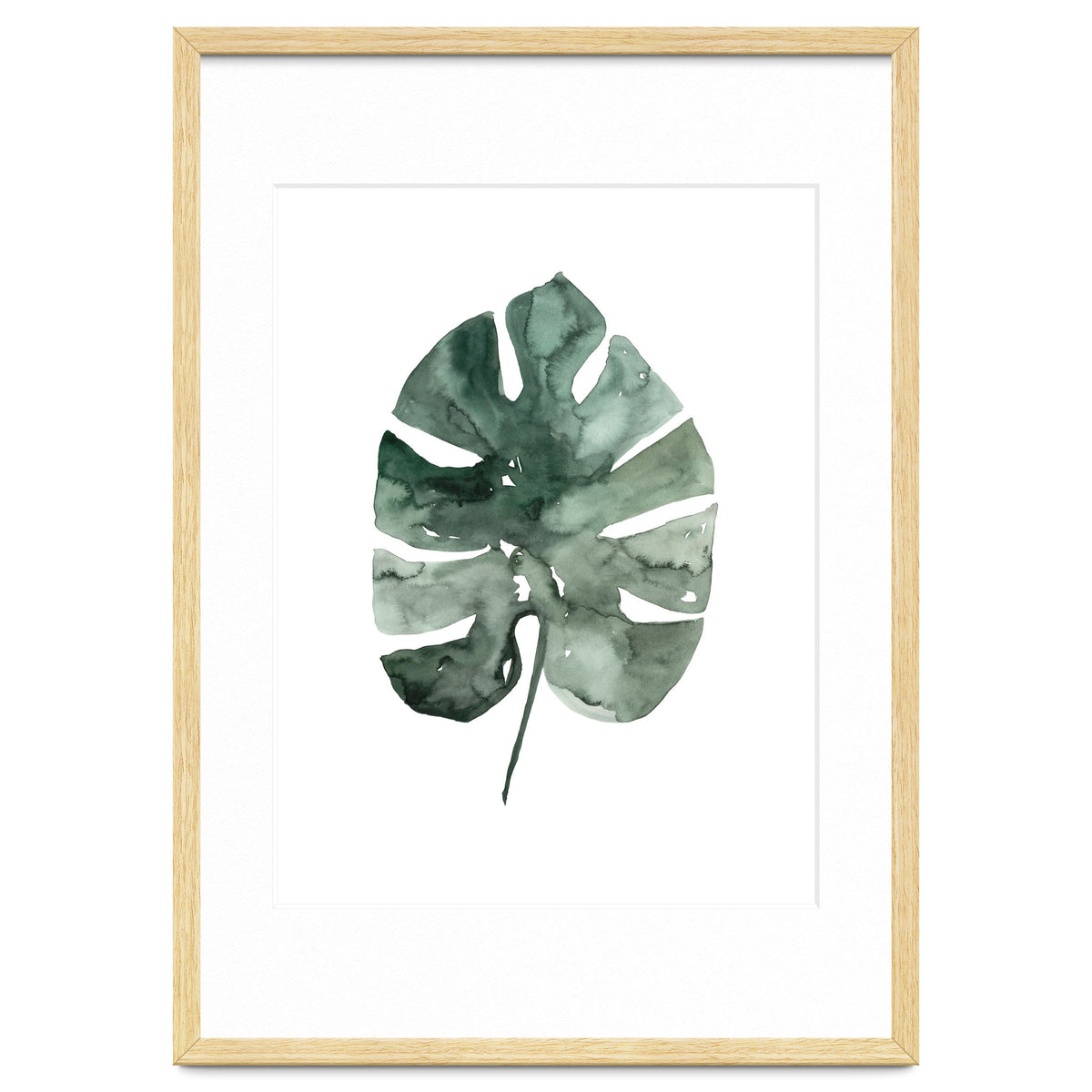 Botanical Illustration Monstera Leaf