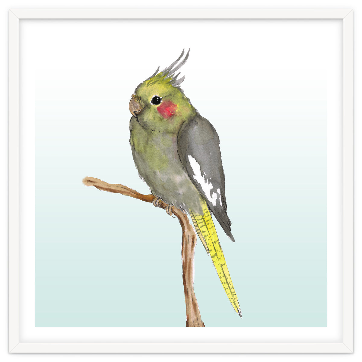 Cute cockatiel