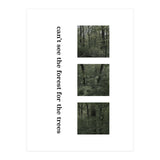 can’t see the forest for the trees (Print Only) thumbnail