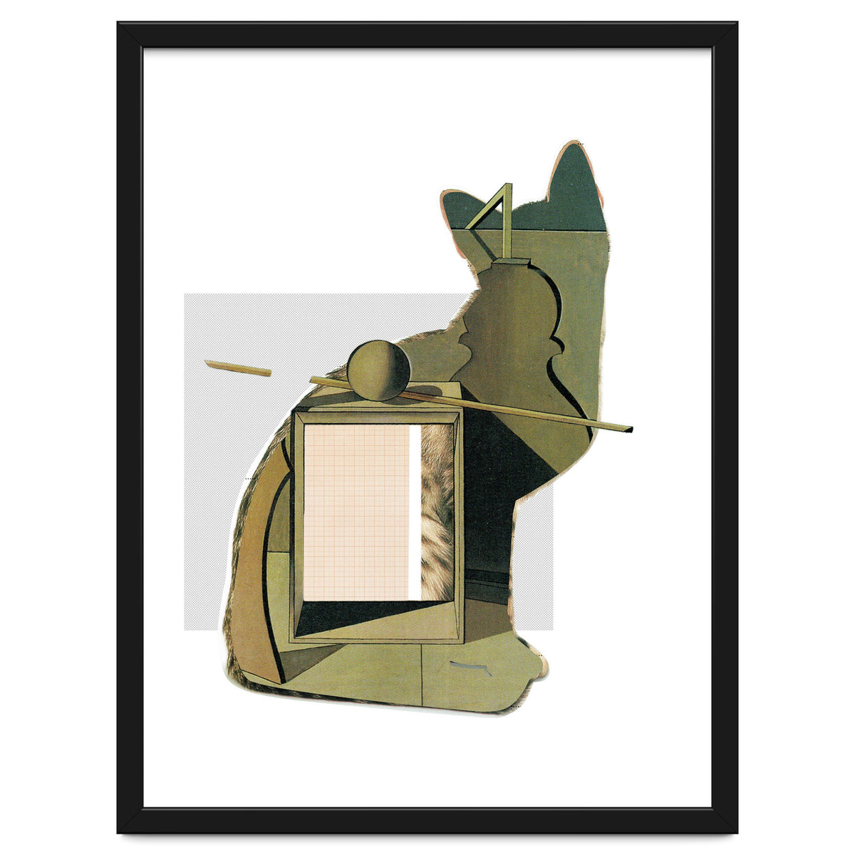 Catomania · Aus Den Sieben Leben Einer Katze · Morandi´s Cat