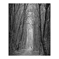 Forest path (Print Only)