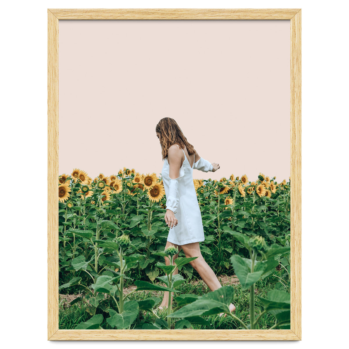 Lost In Sunflowers