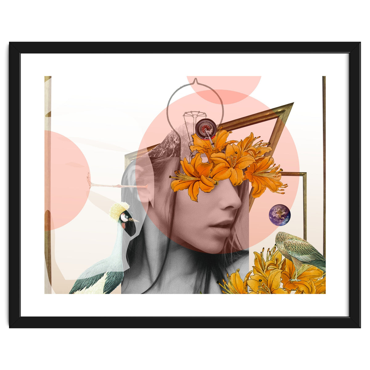 Dreamland Division · D