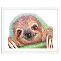 Smiling Sloth