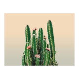Flowered Cactus (Print Only) thumbnail