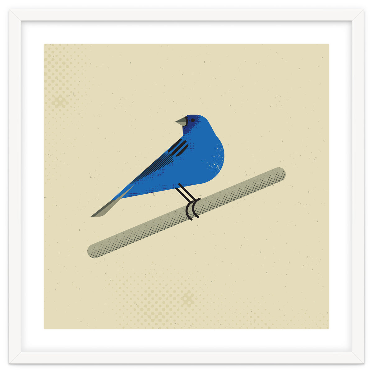 Indigo Bunting