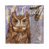 Screech Owl (Print Only) thumbnail