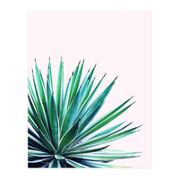 Agave Love (Print Only)