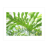 Green Leaf (Print Only) thumbnail