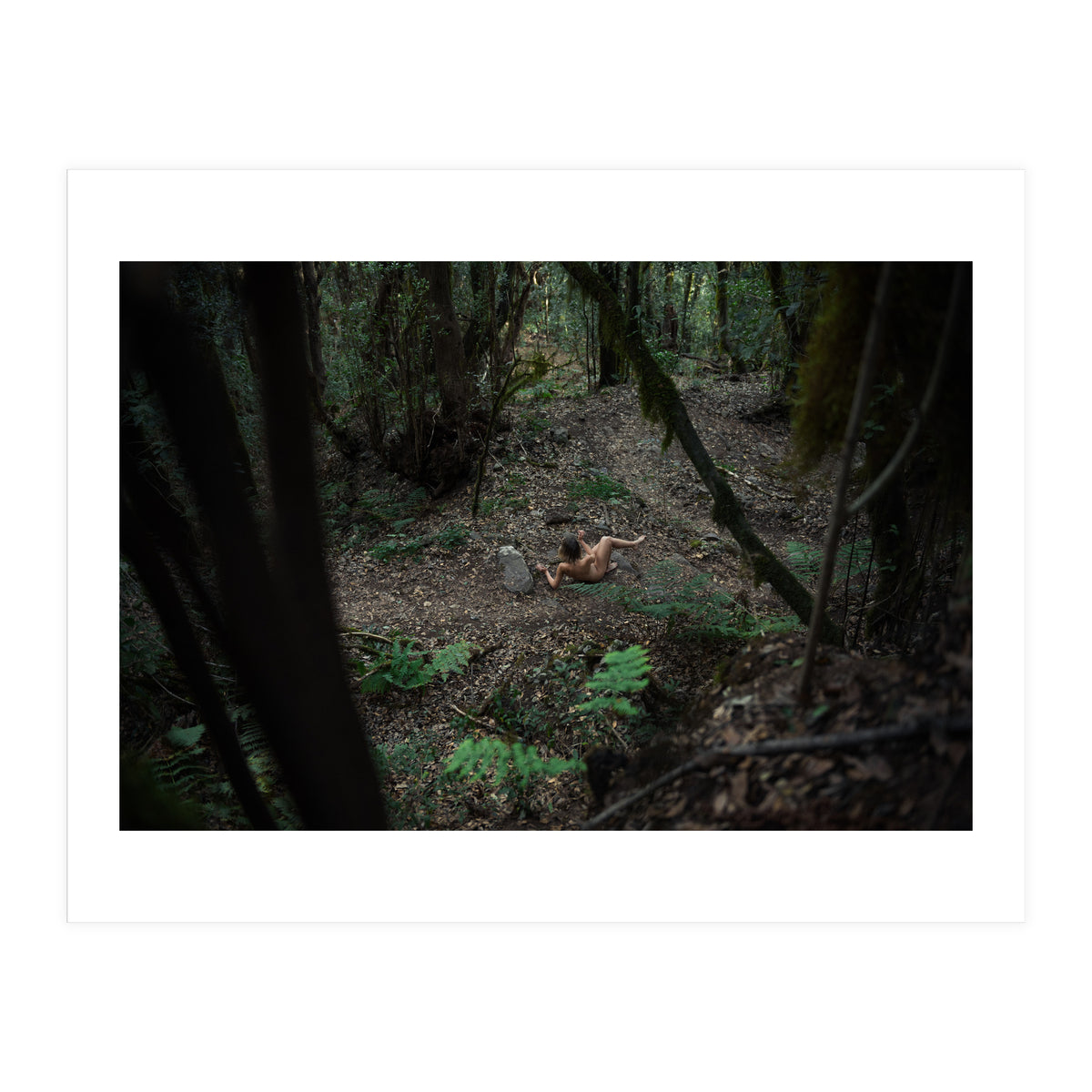 Into the Wild (Print Only)