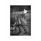 Forestry path (Print Only) thumbnail