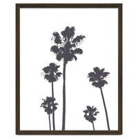 Palms & Sunset-Minimal B&W 2