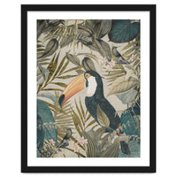 Jungle Toucan