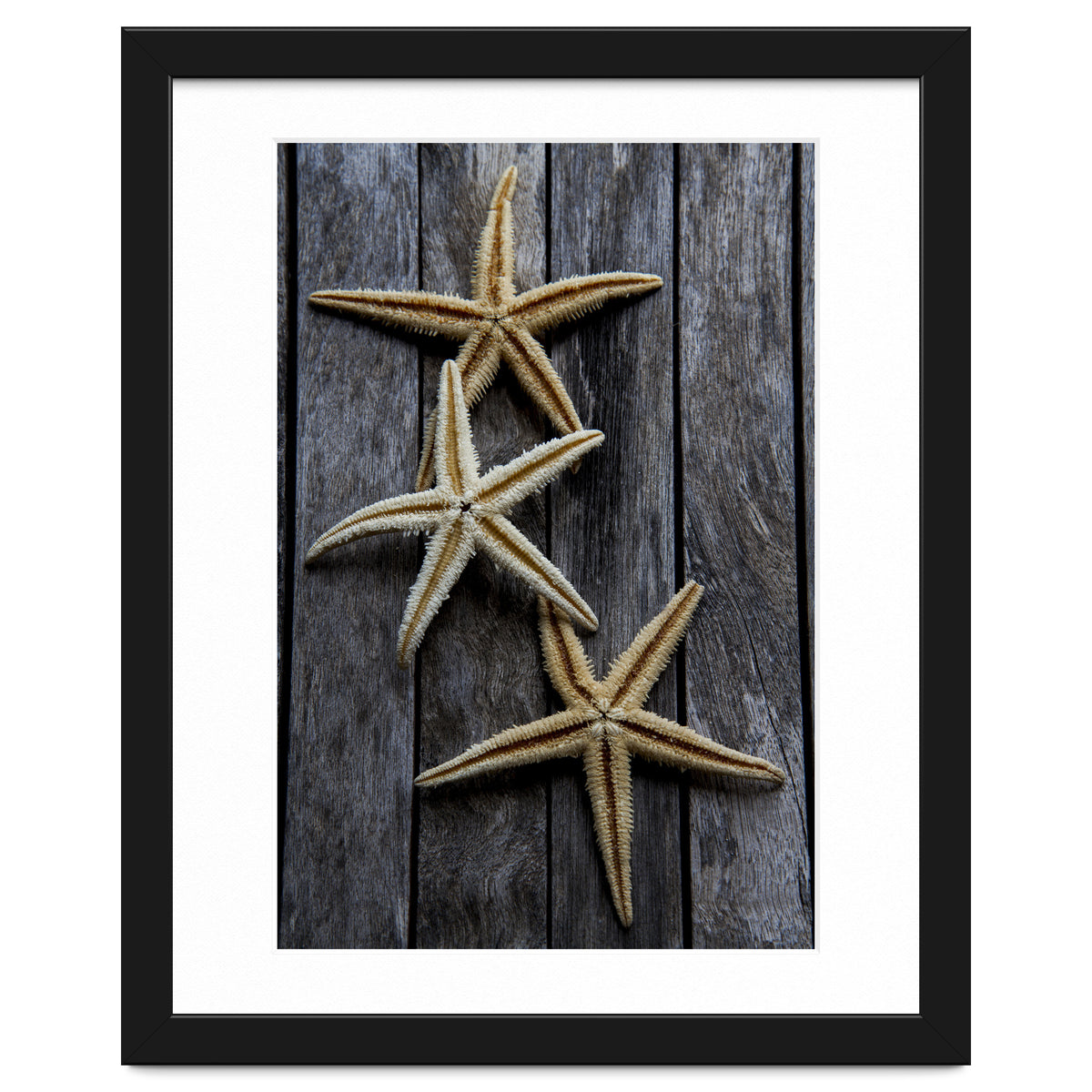 Starfishes in wooden