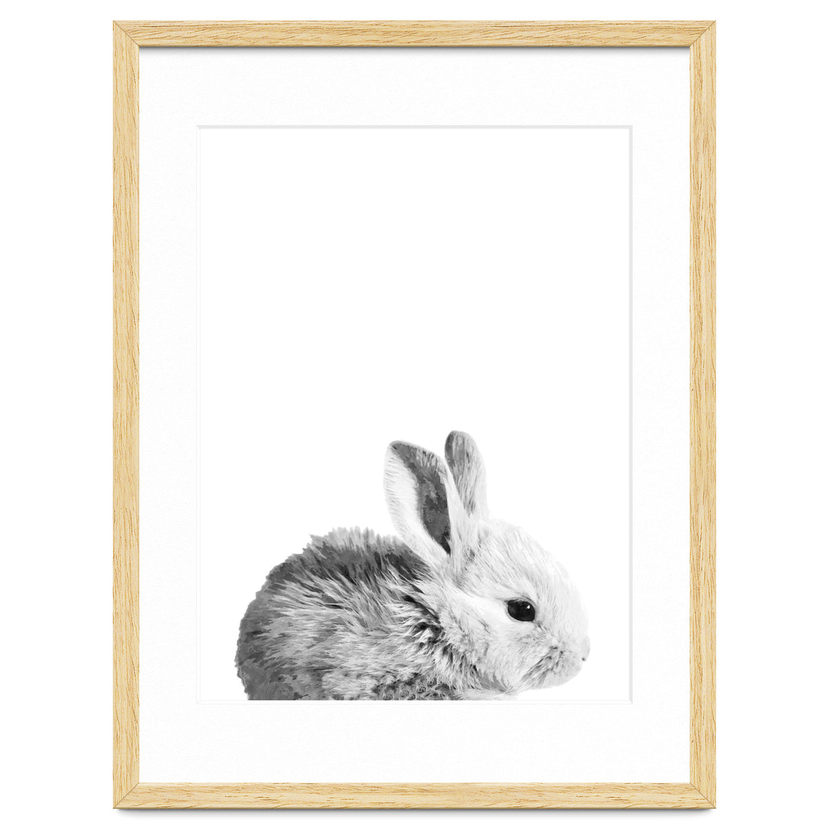 Black and White Bunny Portrait