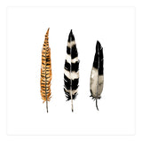 Earth Feather (Print Only) thumbnail