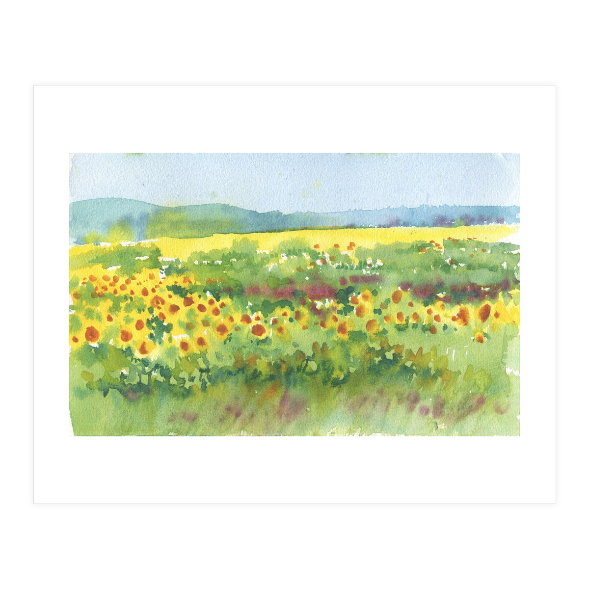 Sunflowers field  (Print Only)