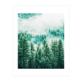 Forest And Fog (Print Only) thumbnail