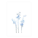Blue Hosta (Print Only) thumbnail