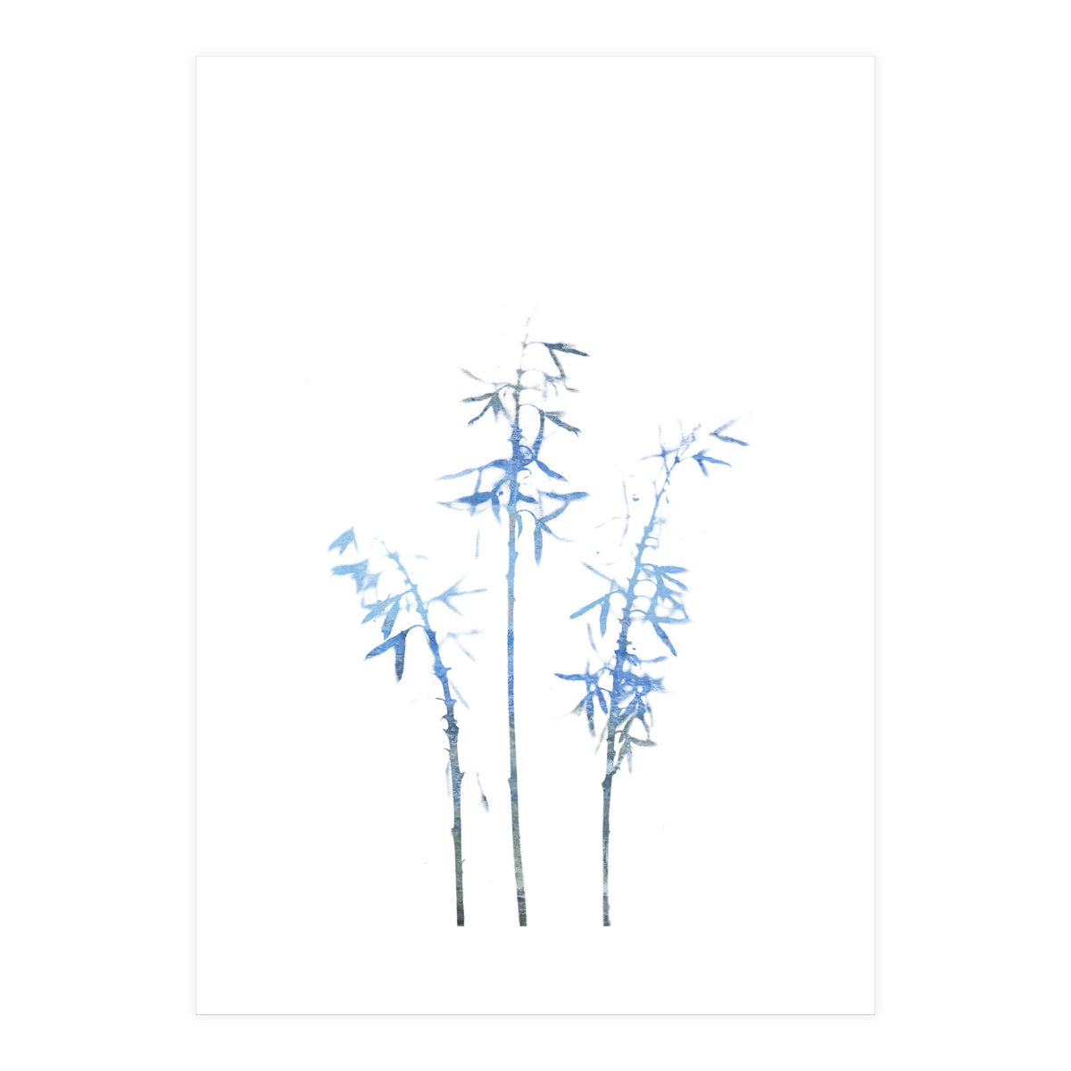 Blue Hosta (Print Only)