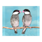 Two kissing Java sparrows (Print Only) thumbnail
