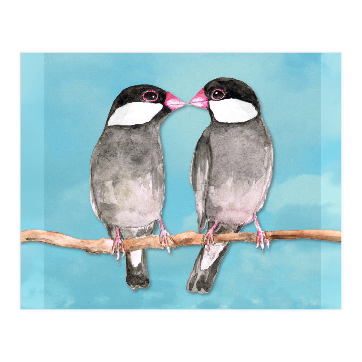 Two kissing Java sparrows (Print Only)