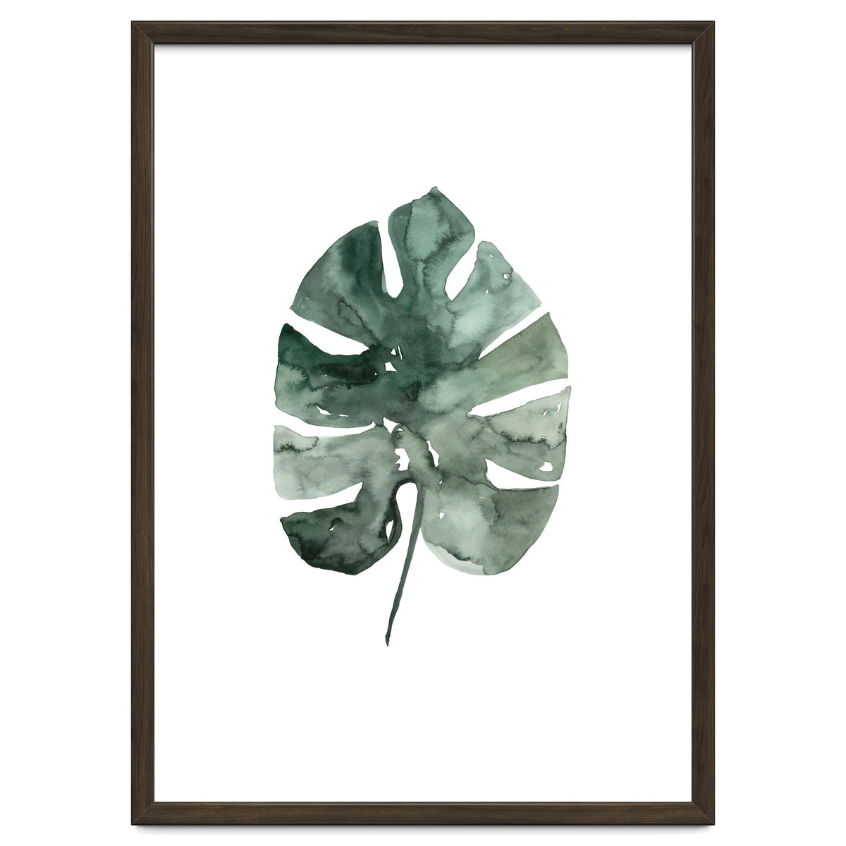 Botanical Illustration Monstera Leaf