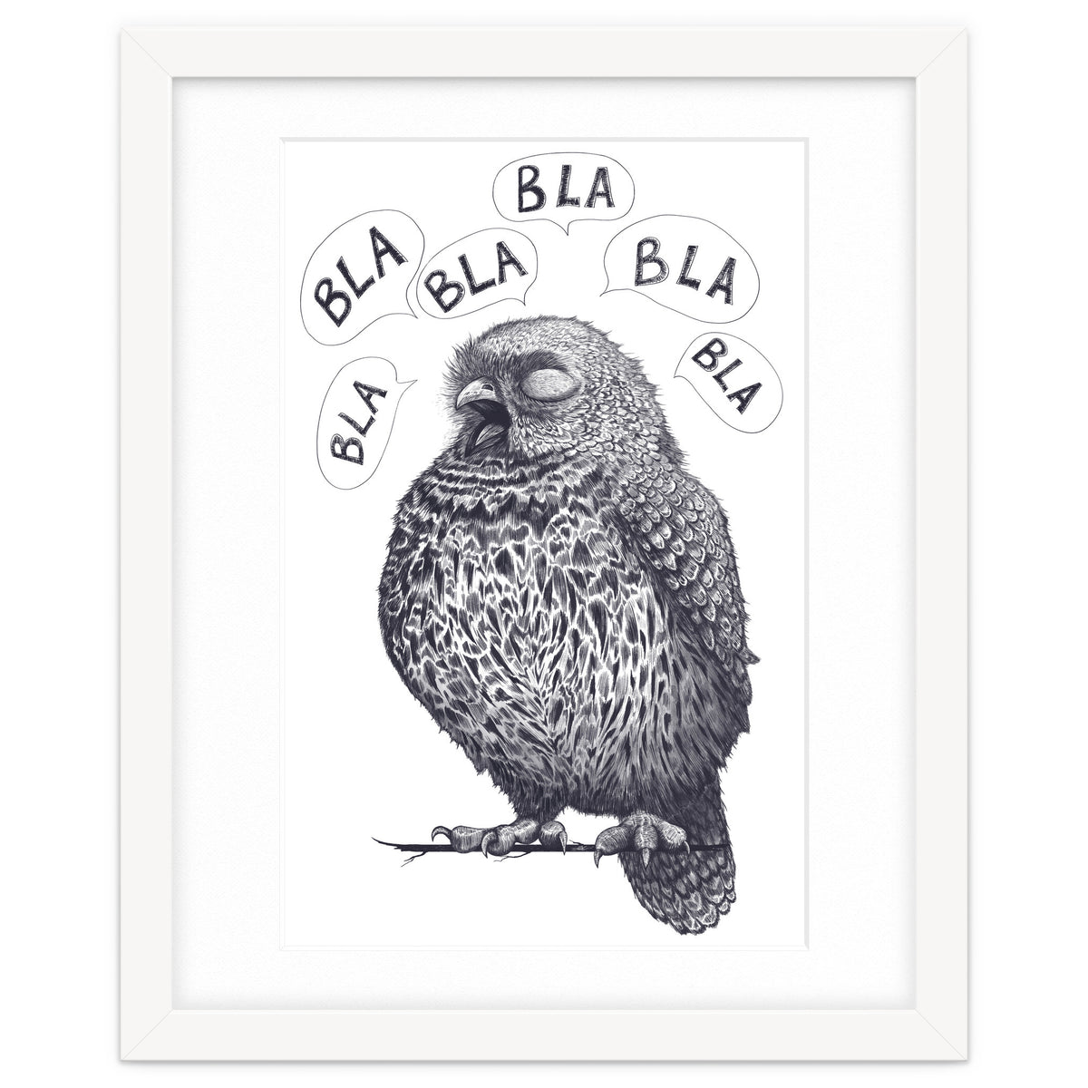 Owl Bla Bla Bla