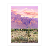 Cactus Sunset (Print Only)