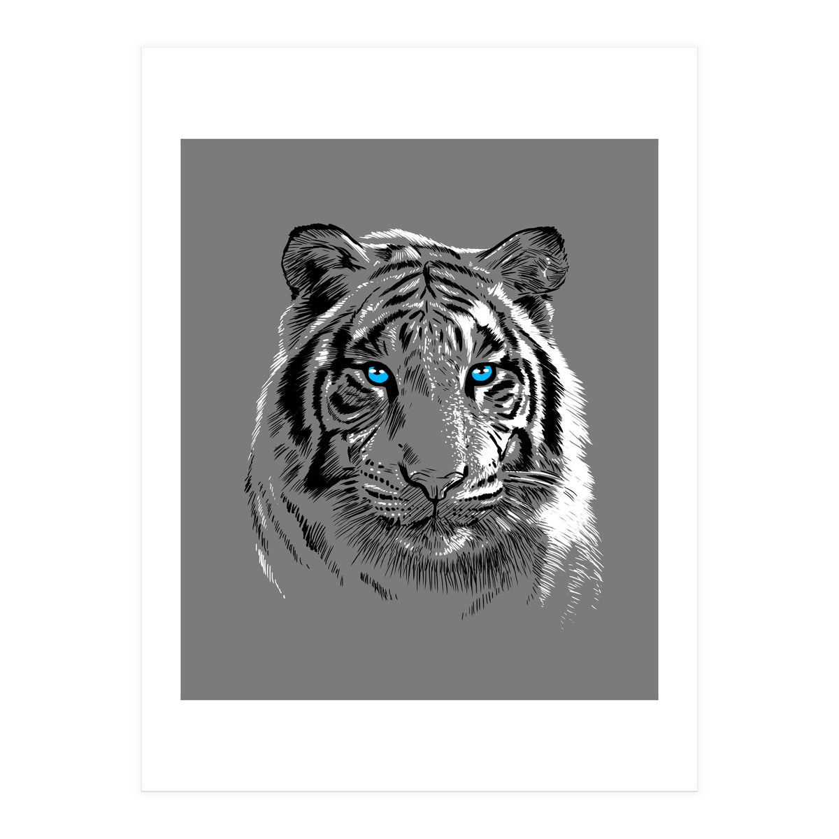 Sketch Tiger (Print Only)