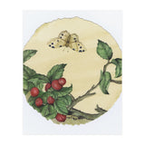 Circle 12 (Print Only) thumbnail